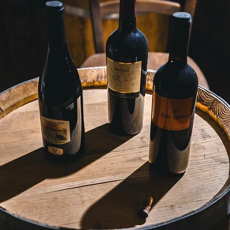 Πανσιόν Nerello And Κατάνια